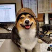 Anonimowy Darczyńca