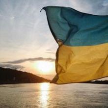 Amy Dorothea Yovich-Searls