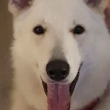 Małgorzata Kosobucka