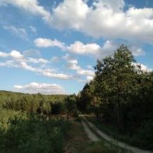 Magdalena Trzcionkowska