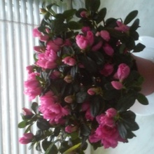 Małgorzata Urbańczyk