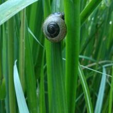 Agnieszka Zawadowicz