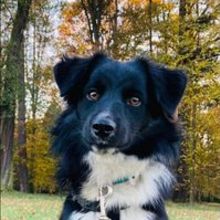 Agnieszka Brzezińska-Mulak