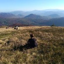 Anna Obłoza - Winiarz