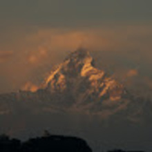 Anonimowy Darczyńca