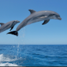 Stanisław Jabłonowski