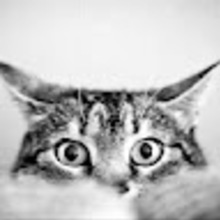 Anonimowy Darczyńca