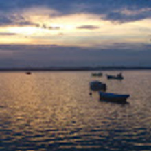 Wojciech Kazimierczak