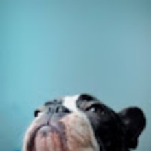 Marcelina Panek-Moura