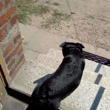Jakub .