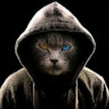Test _ OrT