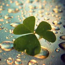 Anonimowa Pomagaczka