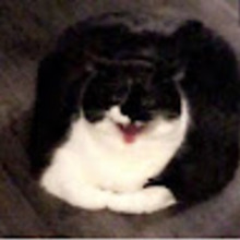 milaq ___