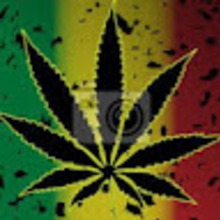 Młody Rastafari