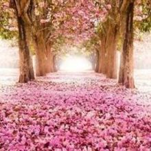 Katarzyna Gałkiewicz