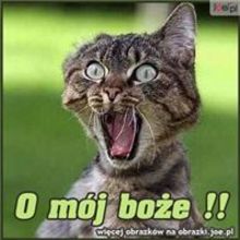 Joanna-Asia Dzoana Chraniuk Ved-Pedersen