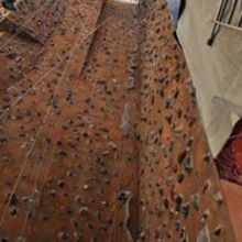 Eleonora Ziembińska