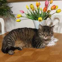 Ewa Romanos-Pniewska