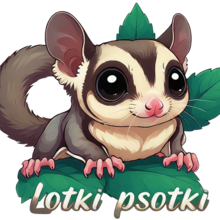 Hodowla Lotopałanki Lotki Psotki